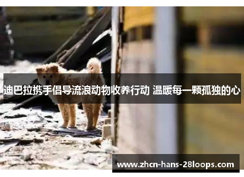 迪巴拉携手倡导流浪动物收养行动 温暖每一颗孤独的心 迪巴拉携手倡导流浪动物收养行动 温暖每一颗孤独的心